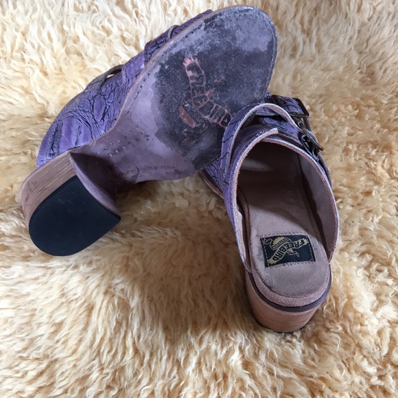 Freebird Caprice 8 - Picture 4 of 6